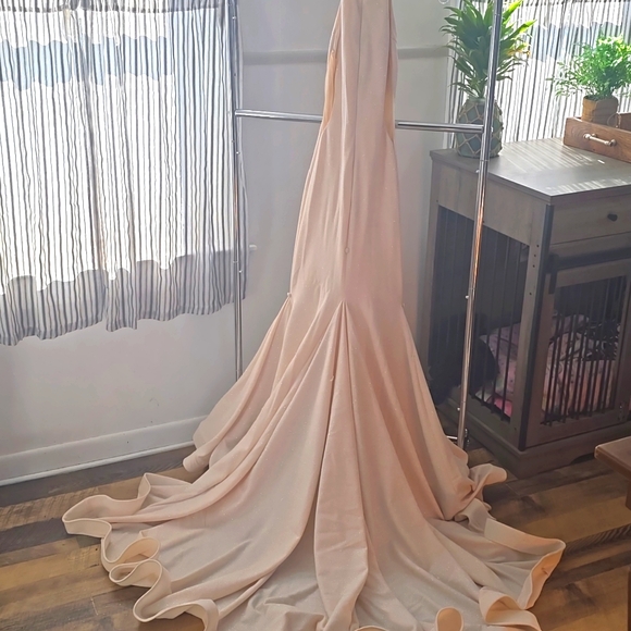 Prom/Event Dress - Picture 2 of 6